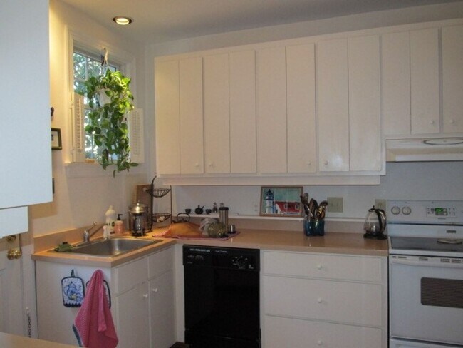 Building Photo - Chapel Hill / Historical District House