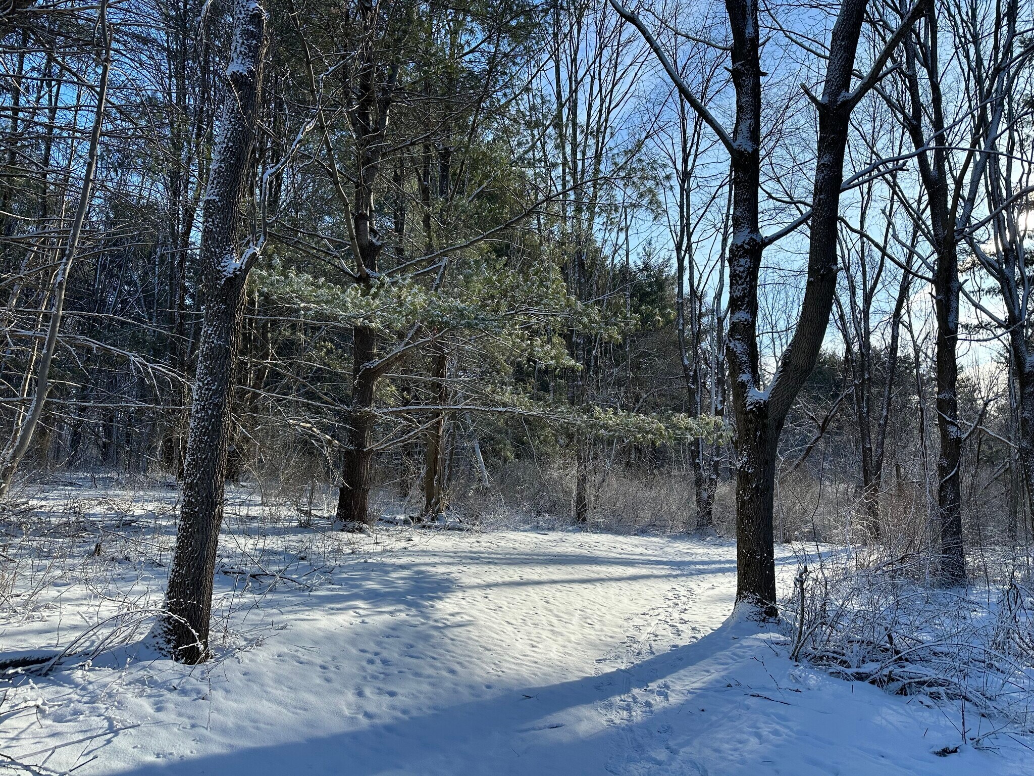Building Photo - 162 Washington St