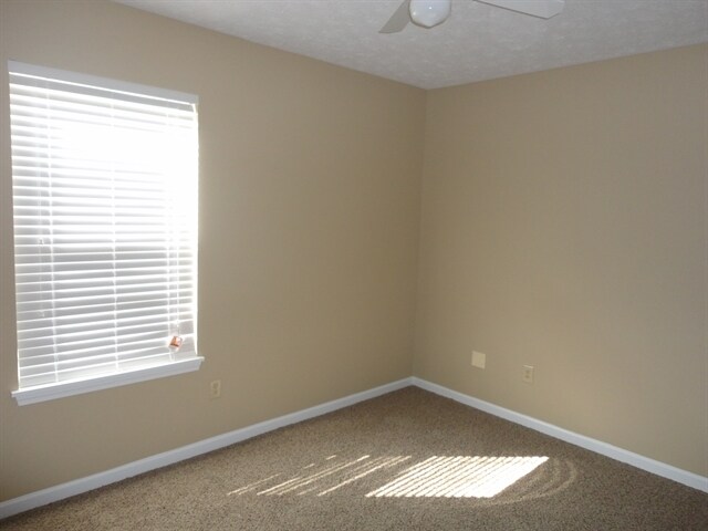 Building Photo - 7641 Blackthorn Ct