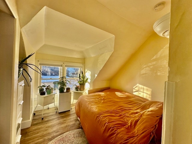 Warm afternoon sun graces the Bedroom. Blackout blinds installed for good sleeping. - 302 Van Deusen St