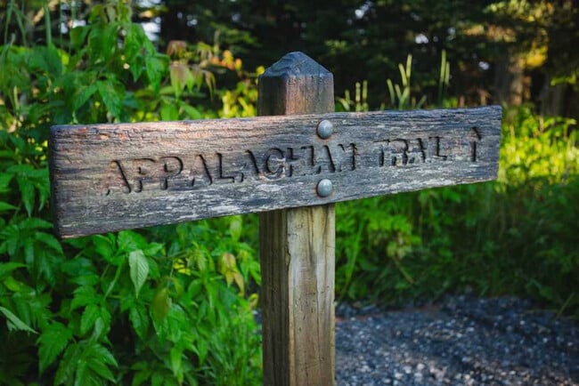 Building Photo - 157 W Holly Ridge Rd