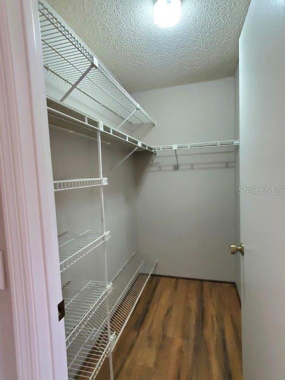 Building Photo - 26014 Ocelot Ln