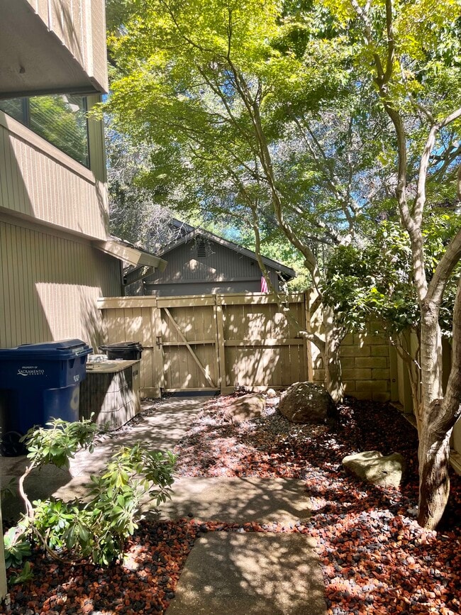 Back gate area - 1915 Discovery Village Ln