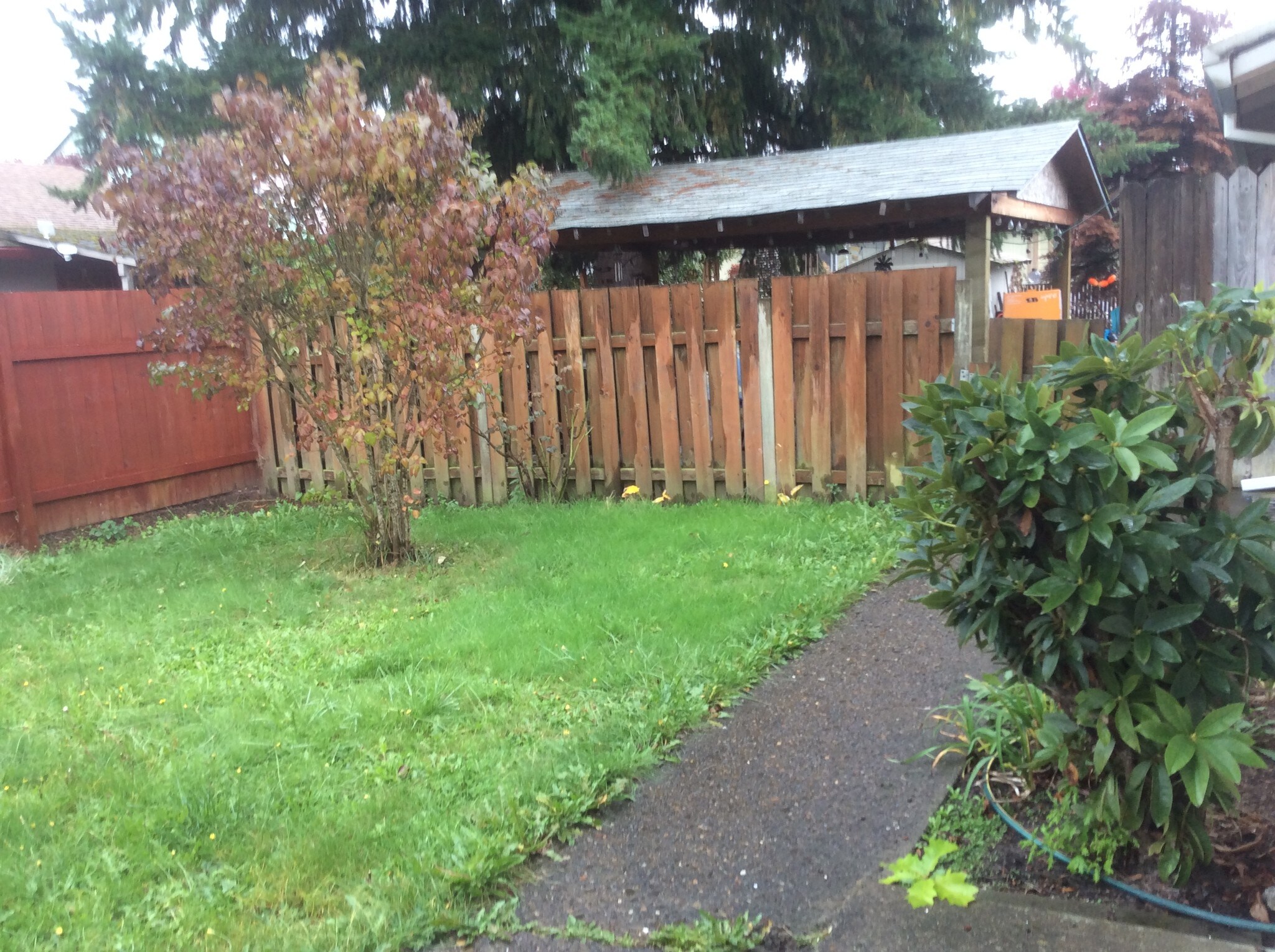 Yard south - 1045 S Jasper St