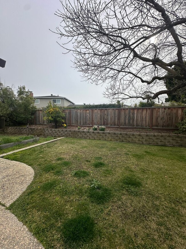 Building Photo - Cupertino Home, ready for move in!