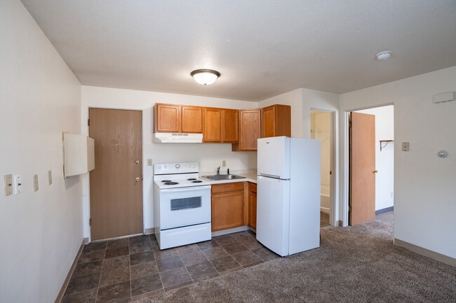 Fargo, ND Forest Avenue Apartments | Kitchen - Forest Avenue