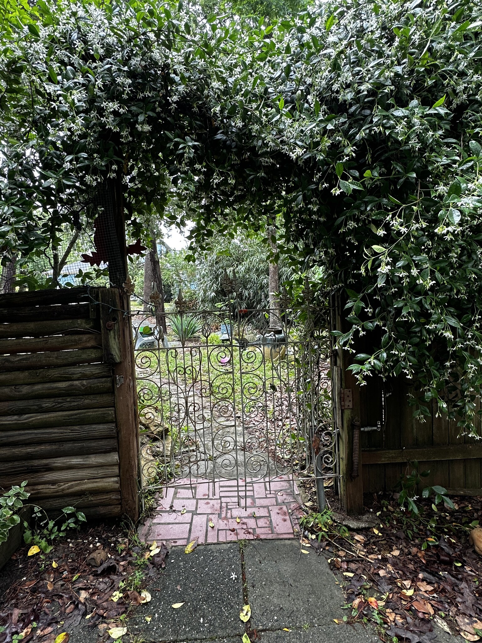 Flowers arching over walkway to front door - 108 Lisa Dr