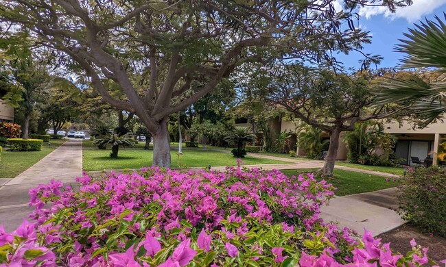 Beautiful grounds - 1450 S Kihei Rd