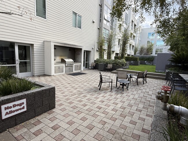 A well-maintained outdoor community area perfect for relaxation and socializing. - 1655 N California Blvd