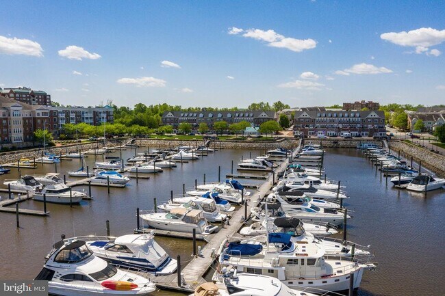 Building Photo - 500 Belmont Bay Dr
