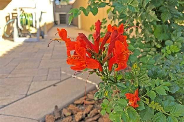 Building Photo - 10581 Sunburst Dr