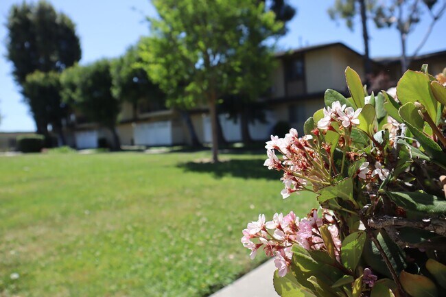 Building Photo - 1330 Sunset Ave, West Covina