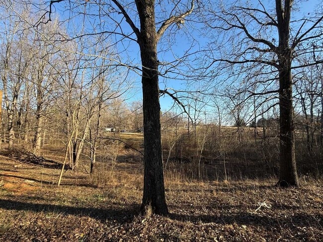 Building Photo - 649 Old Drake Temperance Rd