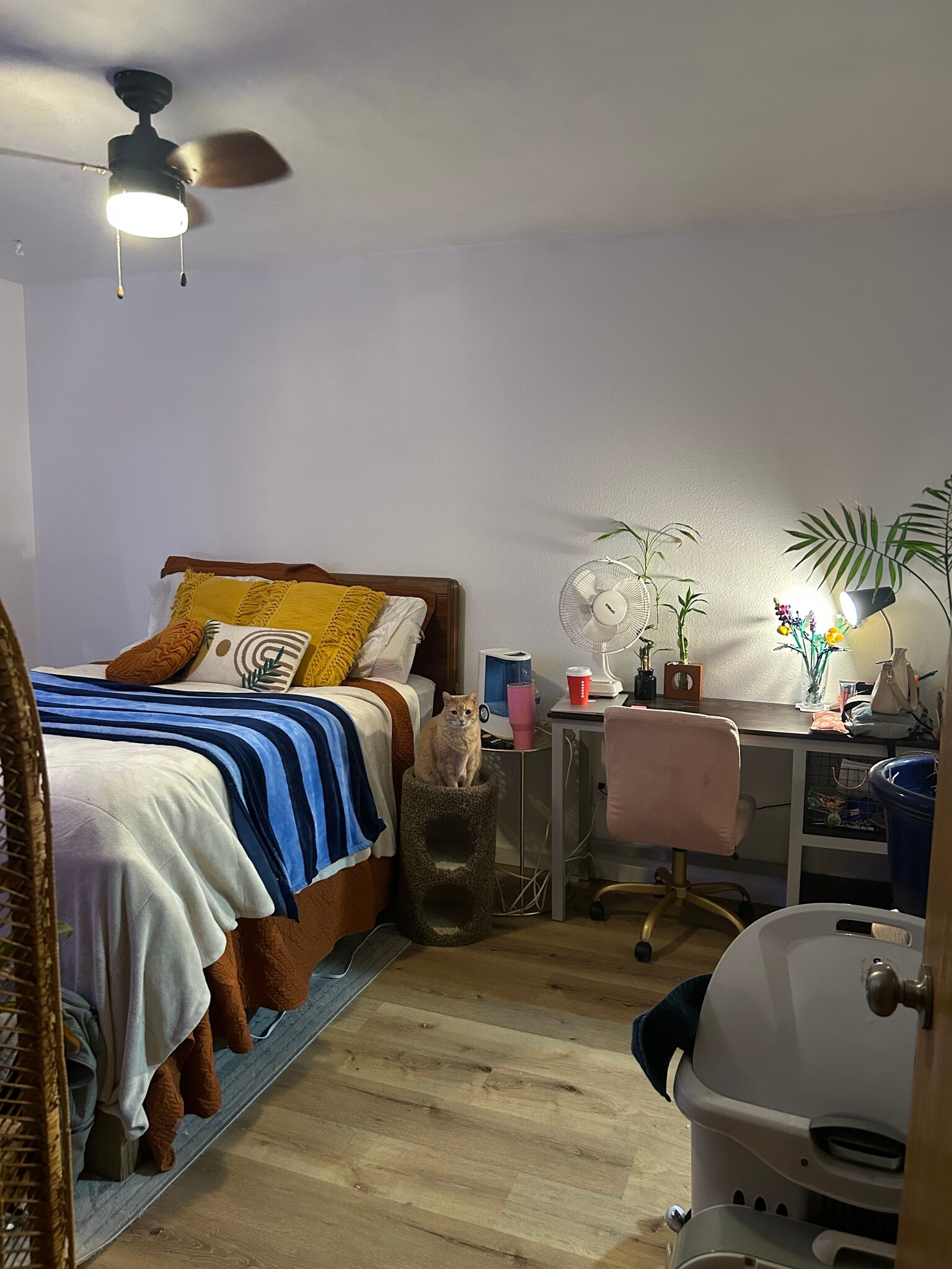 Building Photo - 529 Mitchell St