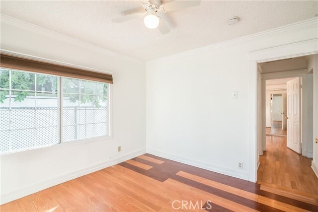 Building Photo - 1125 Heliotrope Dr