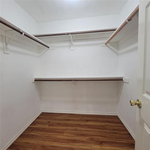 Building Photo - 903 Worden Dr