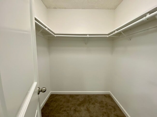 Building Photo - Newly Renovated Condo with NEW KITCHEN! - ...