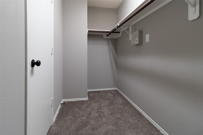 Building Photo - 9331 Norwood Trails Dr