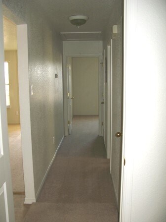 Building Photo - 501 Bermuda