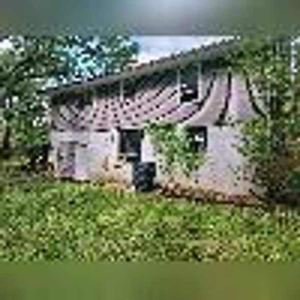 Building Photo - 748 Steakley Dr