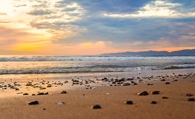 Building Photo - 416 Virginia St