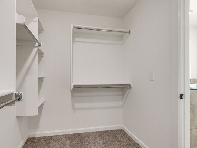 Building Photo - Beautiful New Home!