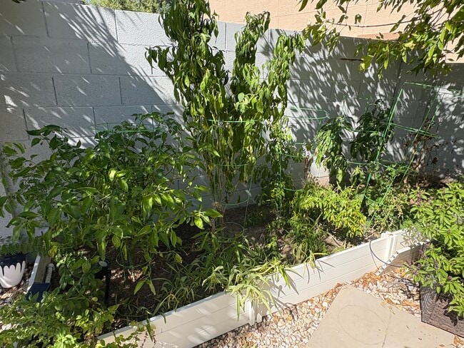 Building Photo - 1180 E Saddleback Pl