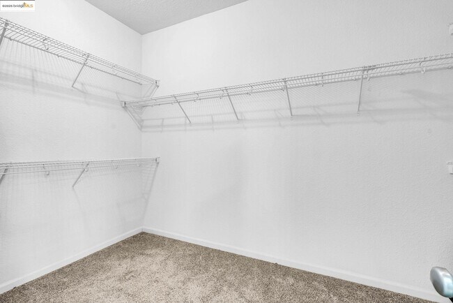 Building Photo - 1361 Tiffany Dr
