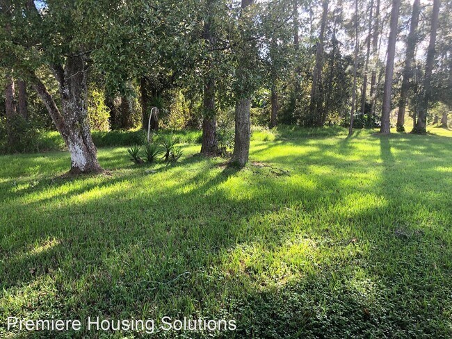 Building Photo - 4 br, 2 bath House - 29917 Briarthorn Loop