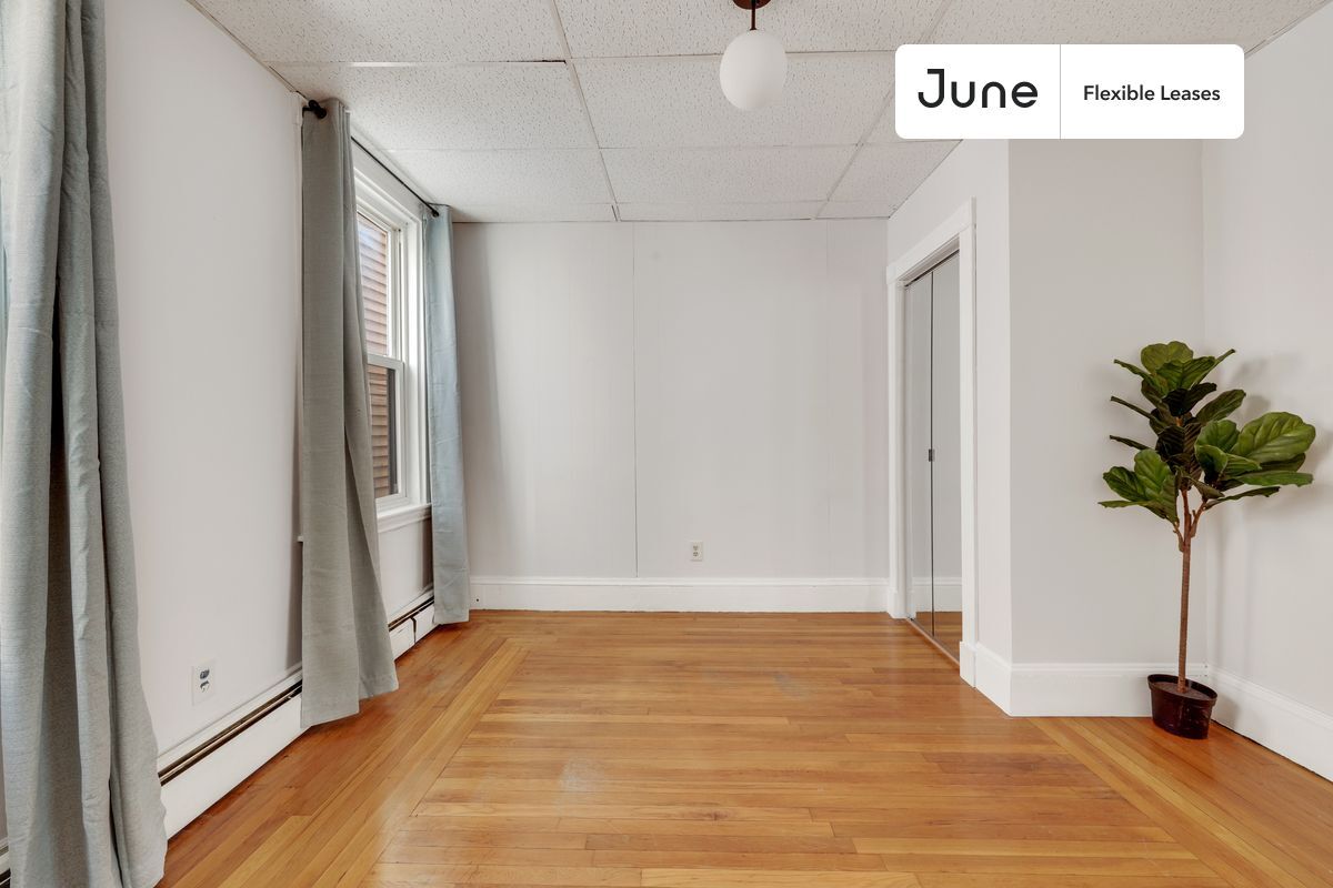 Building Photo - 823 Dorchester Ave