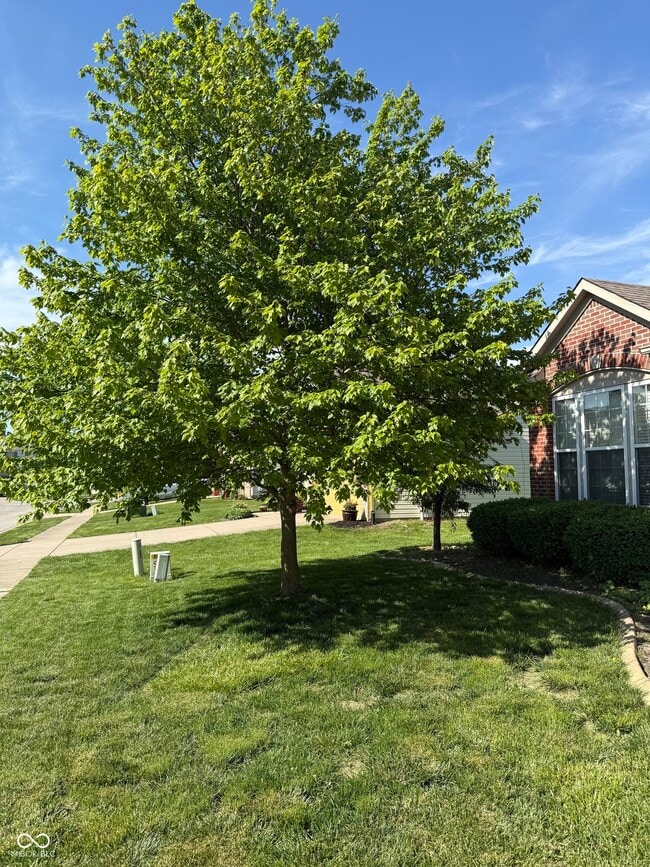 Building Photo - 1055 Woodfield Ct