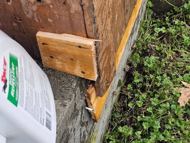 Building Photo - 6833 25th Ave NE