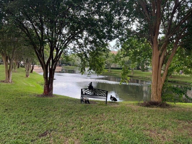 Building Photo - Spacious open floor plan 2/2 located in highly desirable Siesta Lago!