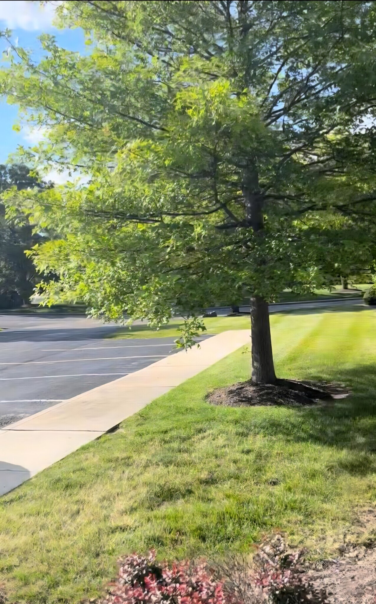 Building Photo - 233 Legends Creek Pl