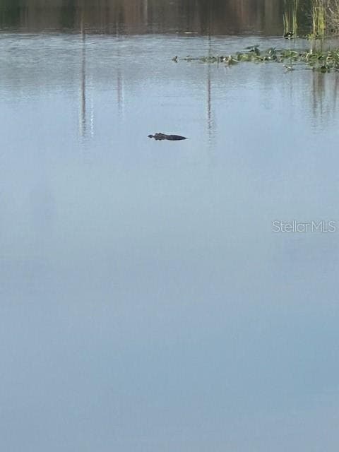 Building Photo - 1001 S Bayshore Blvd