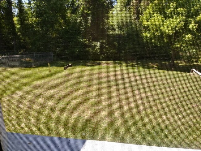 Building Photo - Look No Further!