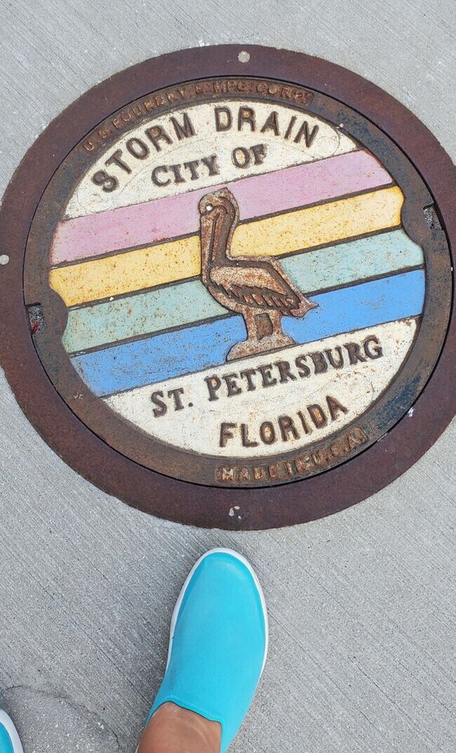 Building Photo - FURNISHED LUXURY 3 Br 3 Ba RENTAL NEAR DOWNTOWN ST PETERSBURG, FL