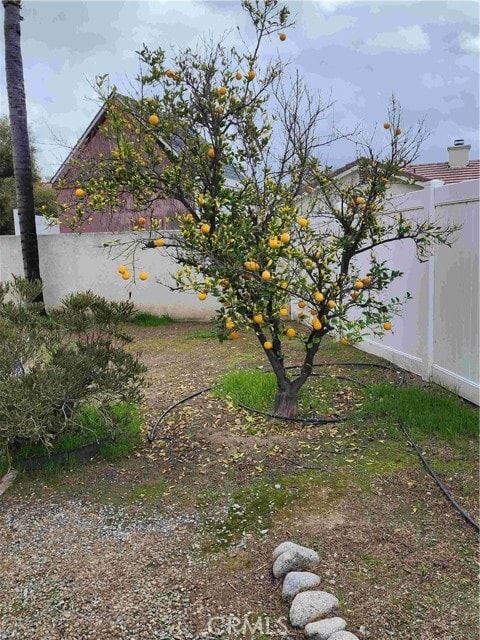 Building Photo - 856 Harrow St