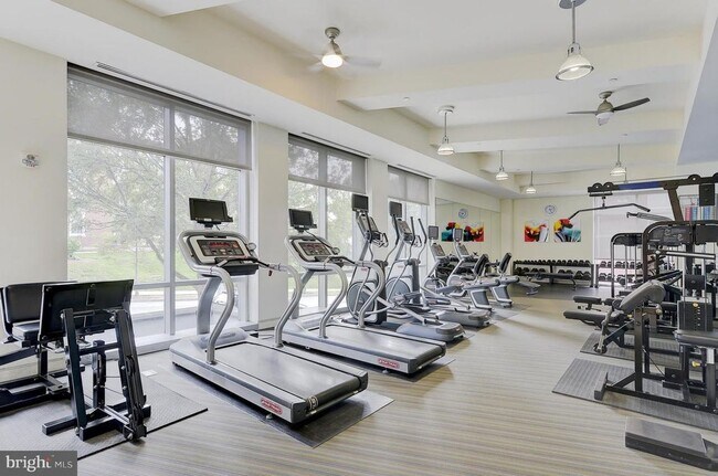 Building Photo - 1br 1 ba condo, Cityline at Tenley Condomi...