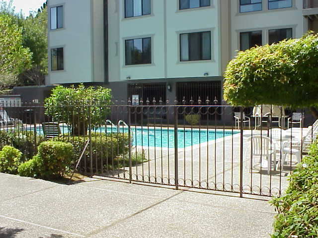 Courtyard and Pool - 500 Poplar Ave