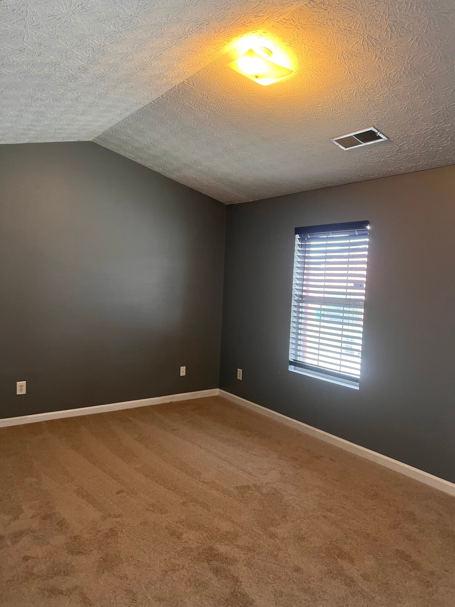 Building Photo - 5599 Windfall Ln