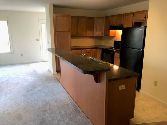 Teeka Court Kitchen - Saylor Park Apartments