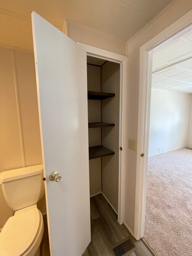 Master Bath Linen Closet - 311 Rugby Rd