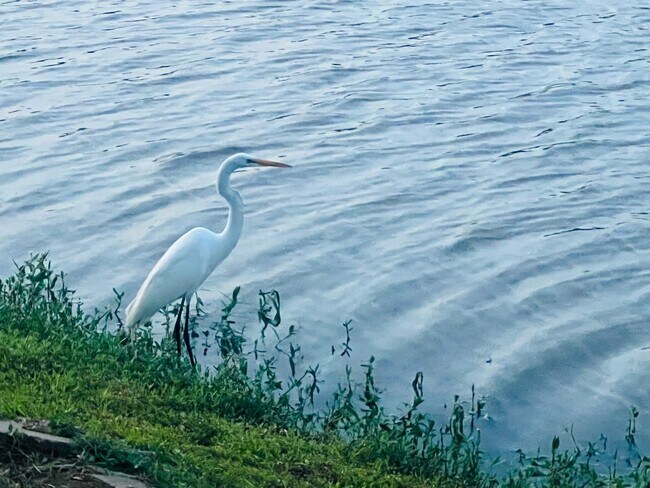 Building Photo - 4114 Fisher Lake Dr