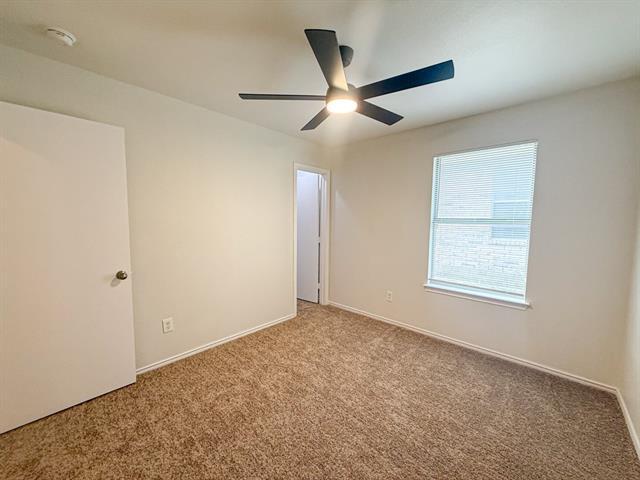 Building Photo - 3129 Appaloosa Dr