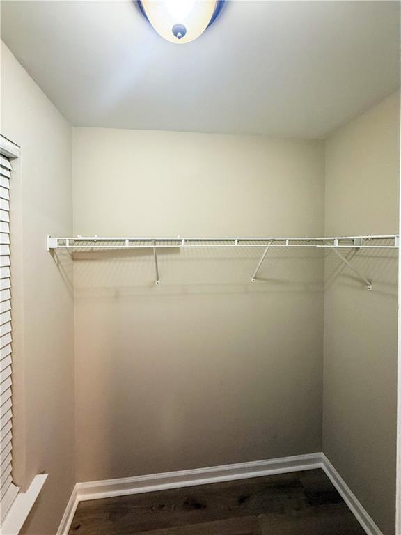 Building Photo - 1527 Cove Creek Cir