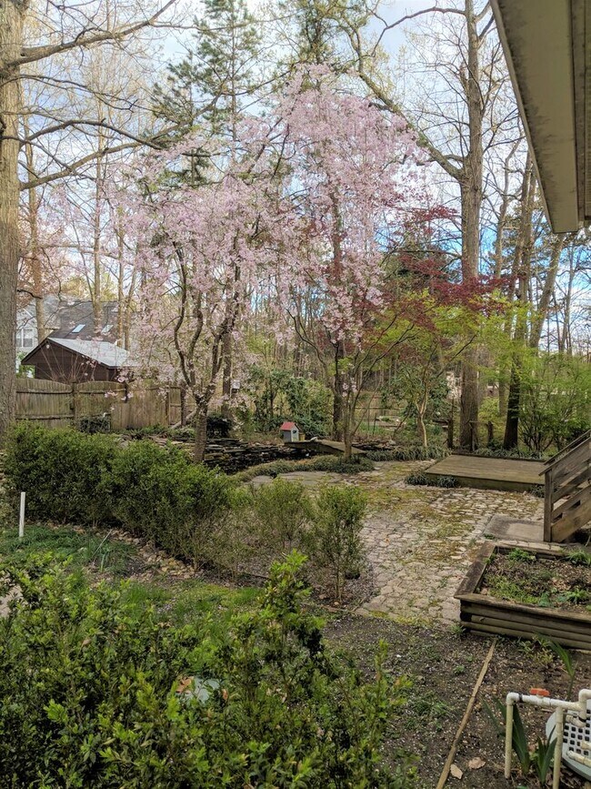 Building Photo - Spacious Single Family for Rent