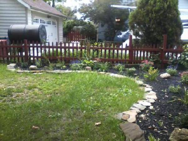 Rear yard - 615 Parkside Drive