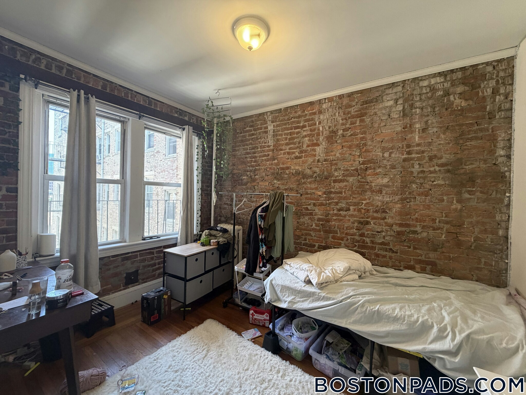 Building Photo - 109 Peterborough St