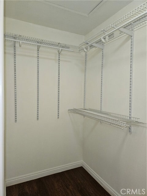 Building Photo - 2906 Ballesteros Ln